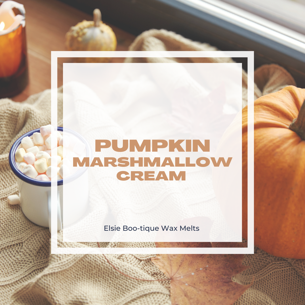 Pumpkin Marshmallow Cream Snap Bar